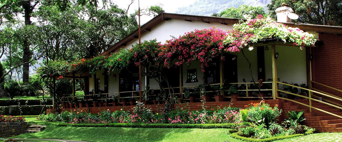 A House for Chinna Dorai – Estate Bungalows in the Nilgiris