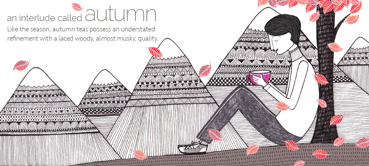 An Interlude Called Autumn