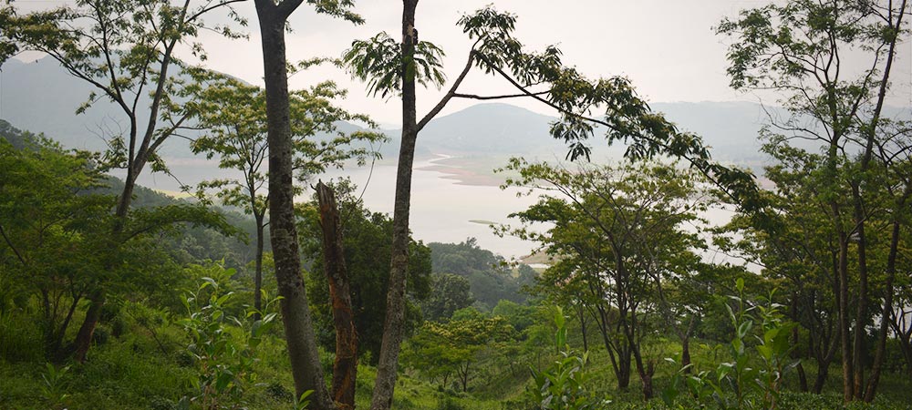A view of the Barapani lake, LaKyrsview