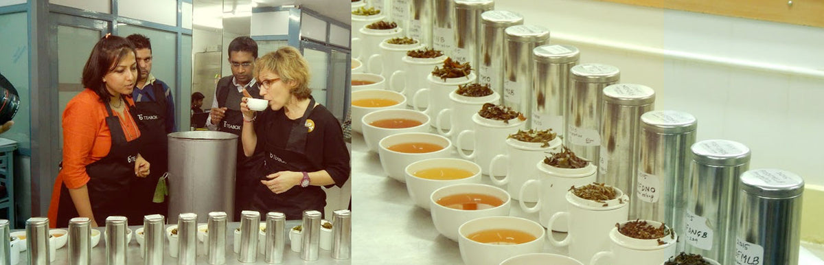 tea tasting in Darjeeling