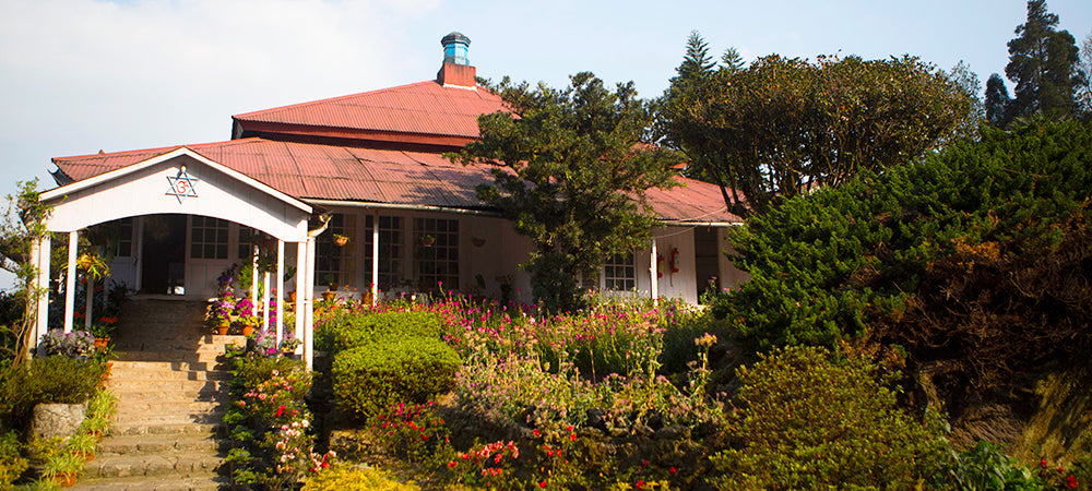 The bungalow on Goomtee Tea Estate in Darjeeling
