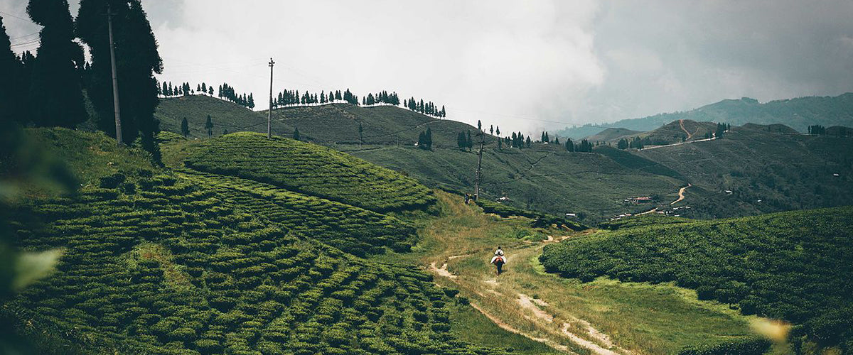 Nepal: Innovation in the high Himalayas