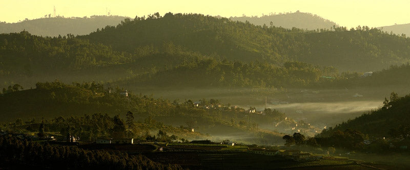 Sounds of Music in the Nilgiris