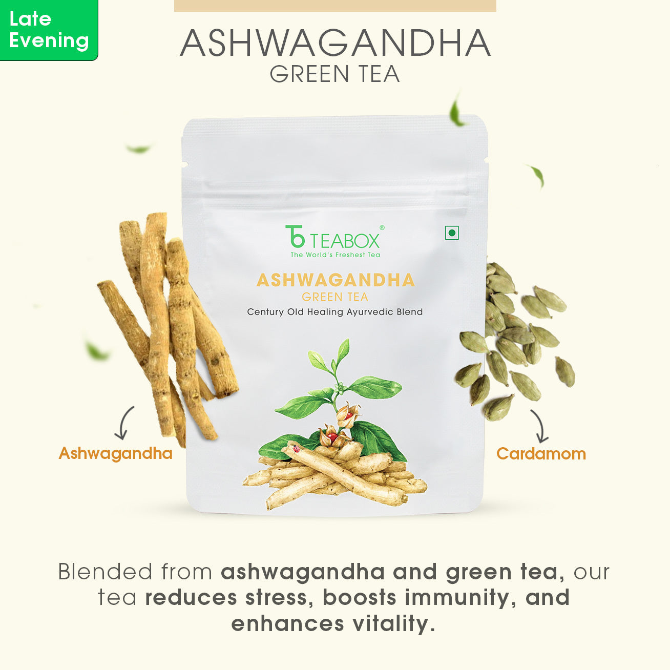 Wellness Trial Pack (Free Valencia Glass Teacup & Elegant Ball Infuser)