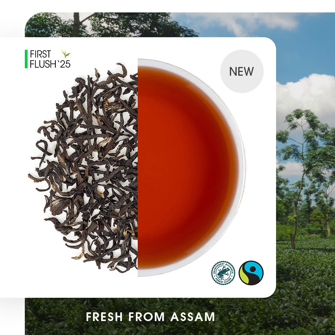 Assam Chardwar Spring Black