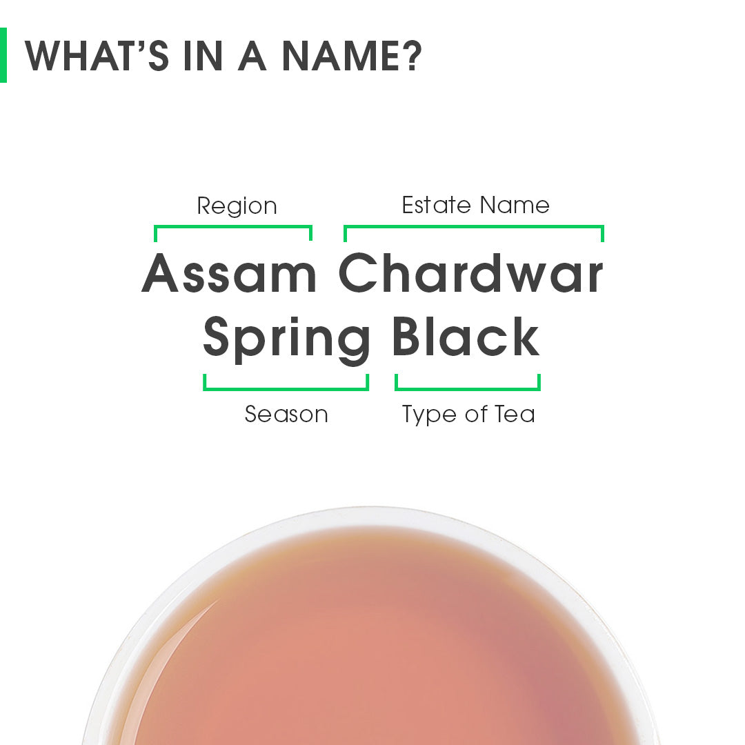 Assam Chardwar Spring Black