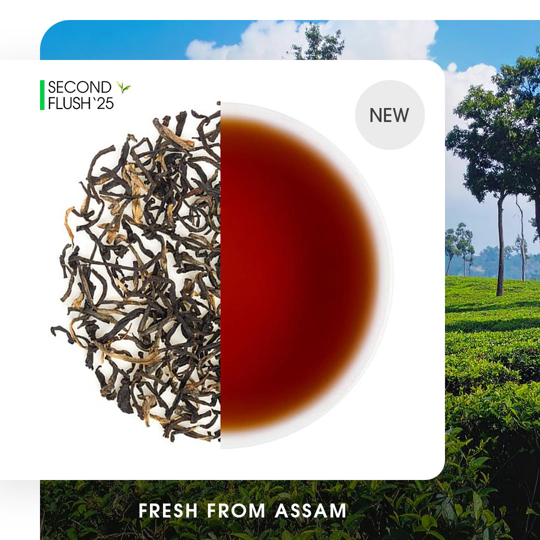 Assam Chota Tingrai Summer Black