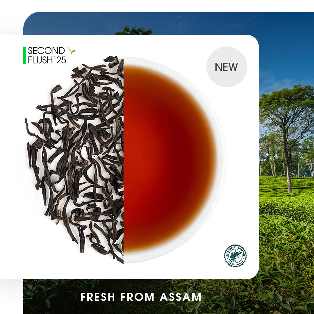 Assam Coombergram Summer Black