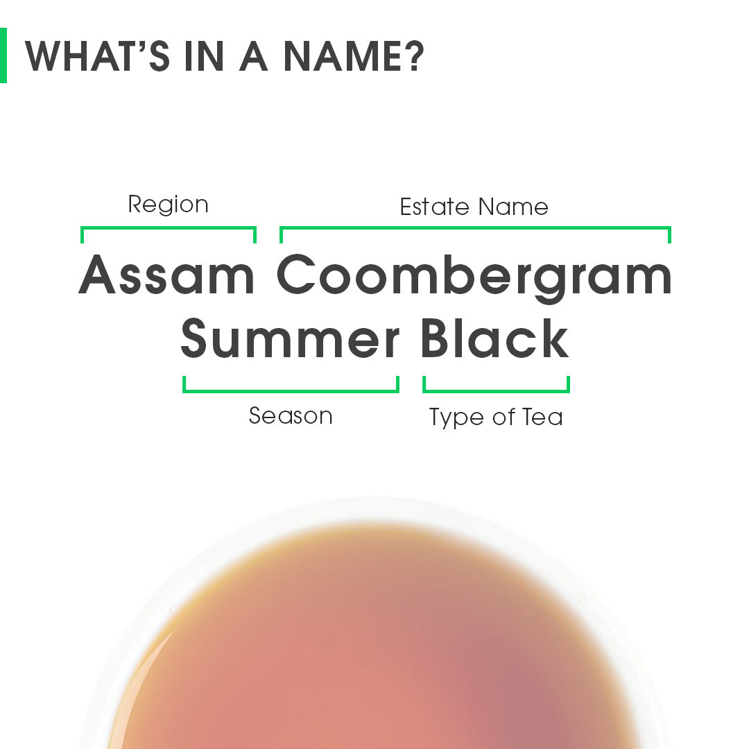Assam Coombergram Summer Black