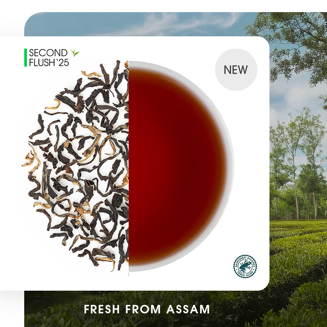 Assam Dejoo Summer Black