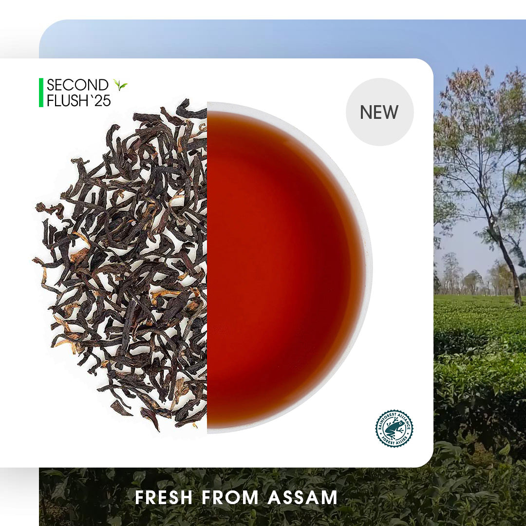 Assam Dikom Summer Black