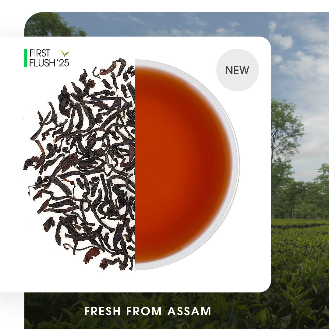 Assam Dinjoye Spring Black