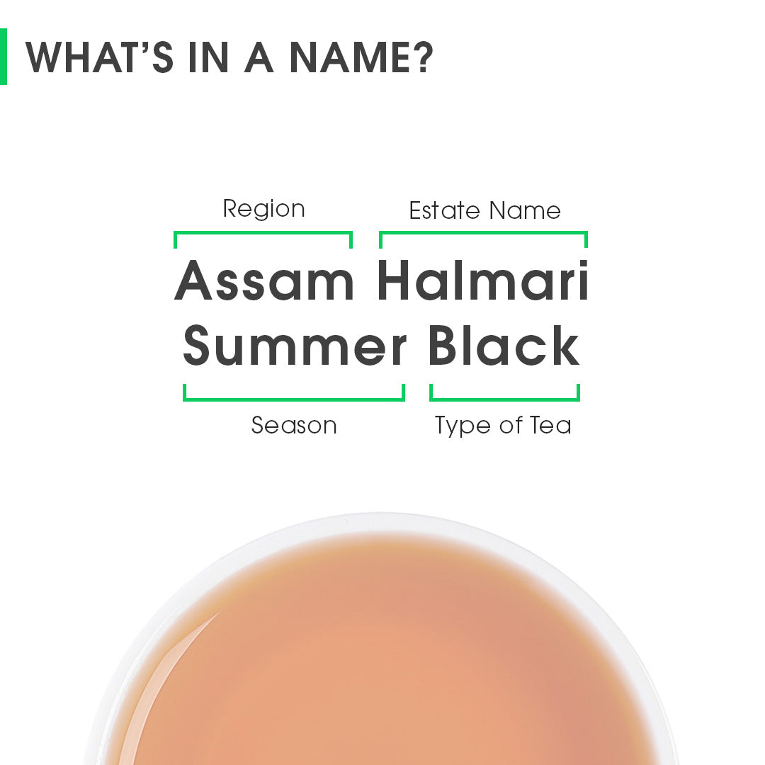 Assam Halmari Summer Black