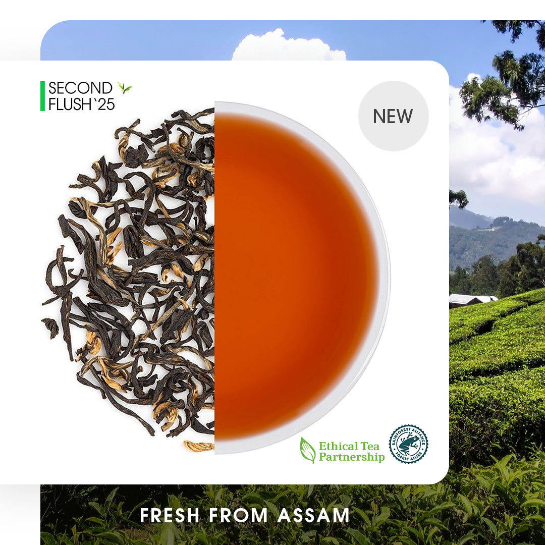 Assam Koilamari Summer Black