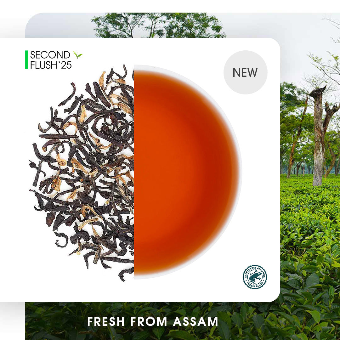 Assam Mangalam Gold Summer Black