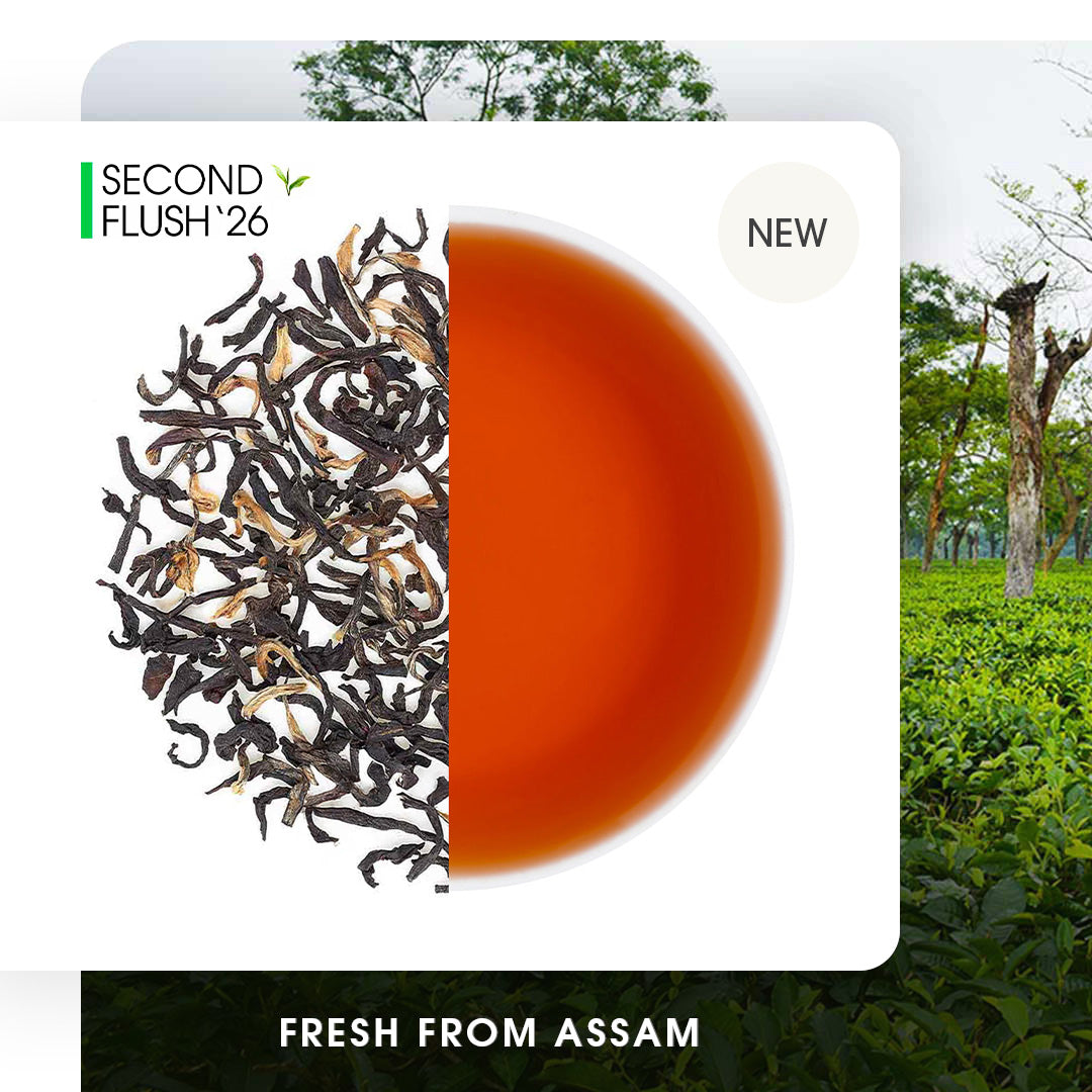 Ａssam商品です Buy 2026 Assam Mangalam Gold Summer Black Tea Online | Teabox