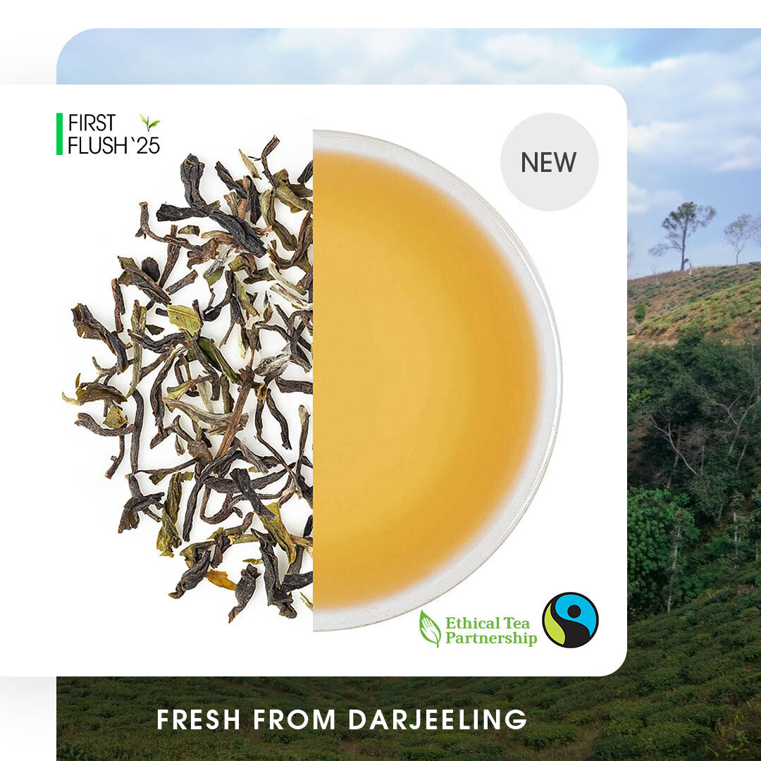 Darjeeling Badamtam Spring Clonal Black