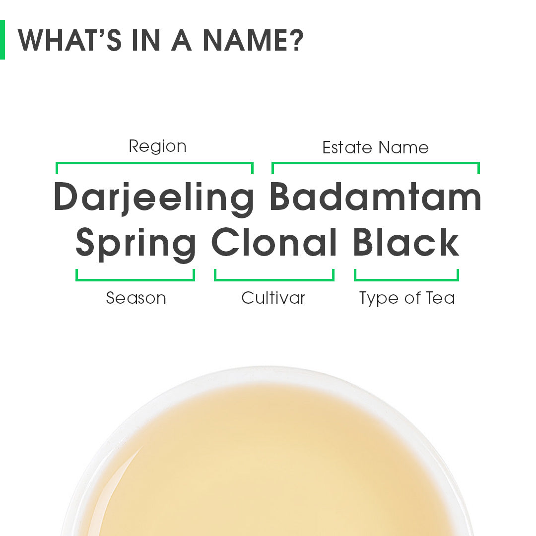 Darjeeling Badamtam Spring Clonal Black
