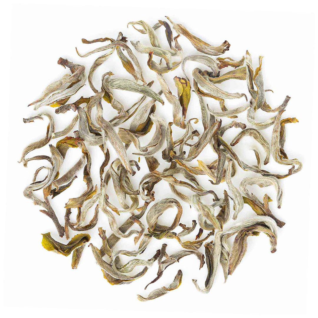 Darjeeling Castleton Moonlight Spring White