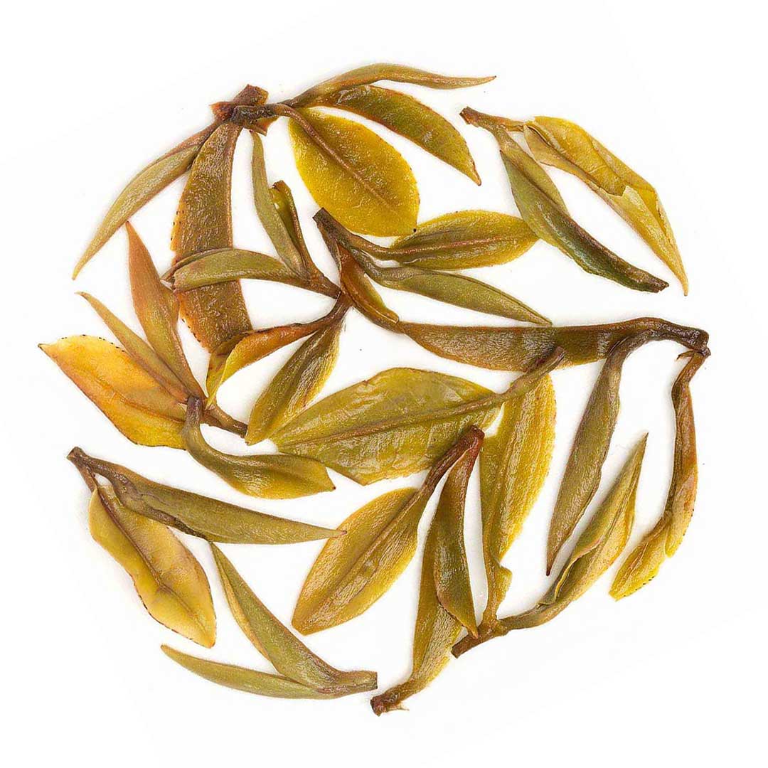 Darjeeling Castleton Moonlight Spring White