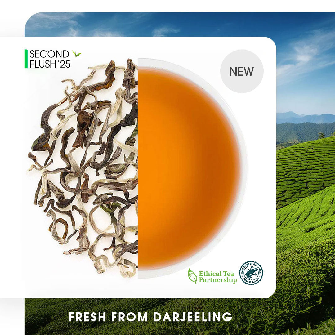 Darjeeling Castleton Moonlight Summer White