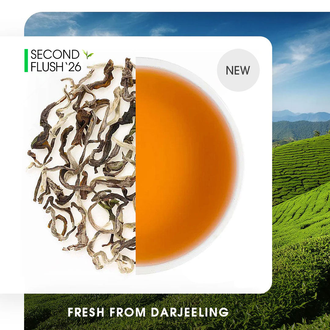 Darjeeling Castleton Summer Moonlight White