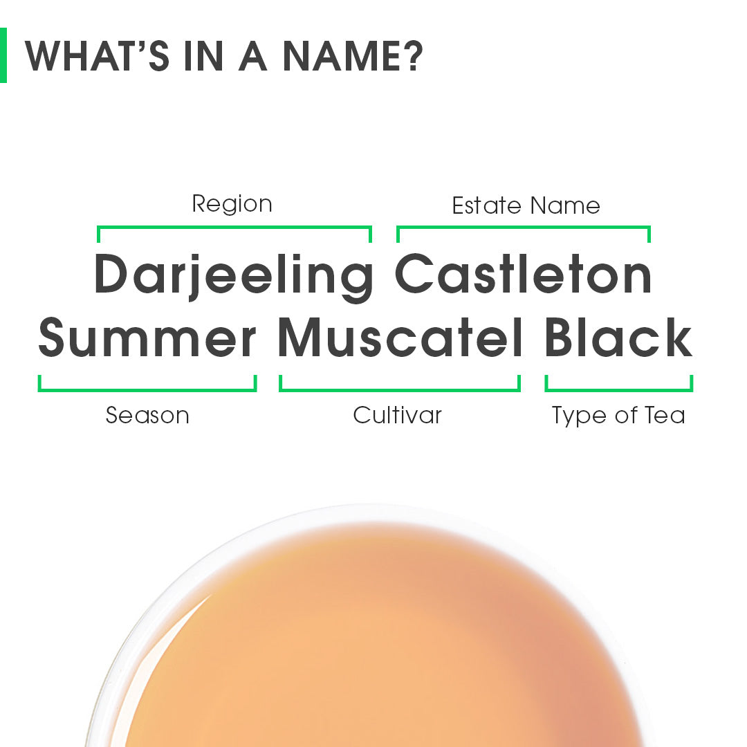 Darjeeling Castleton Summer Muscatel Black