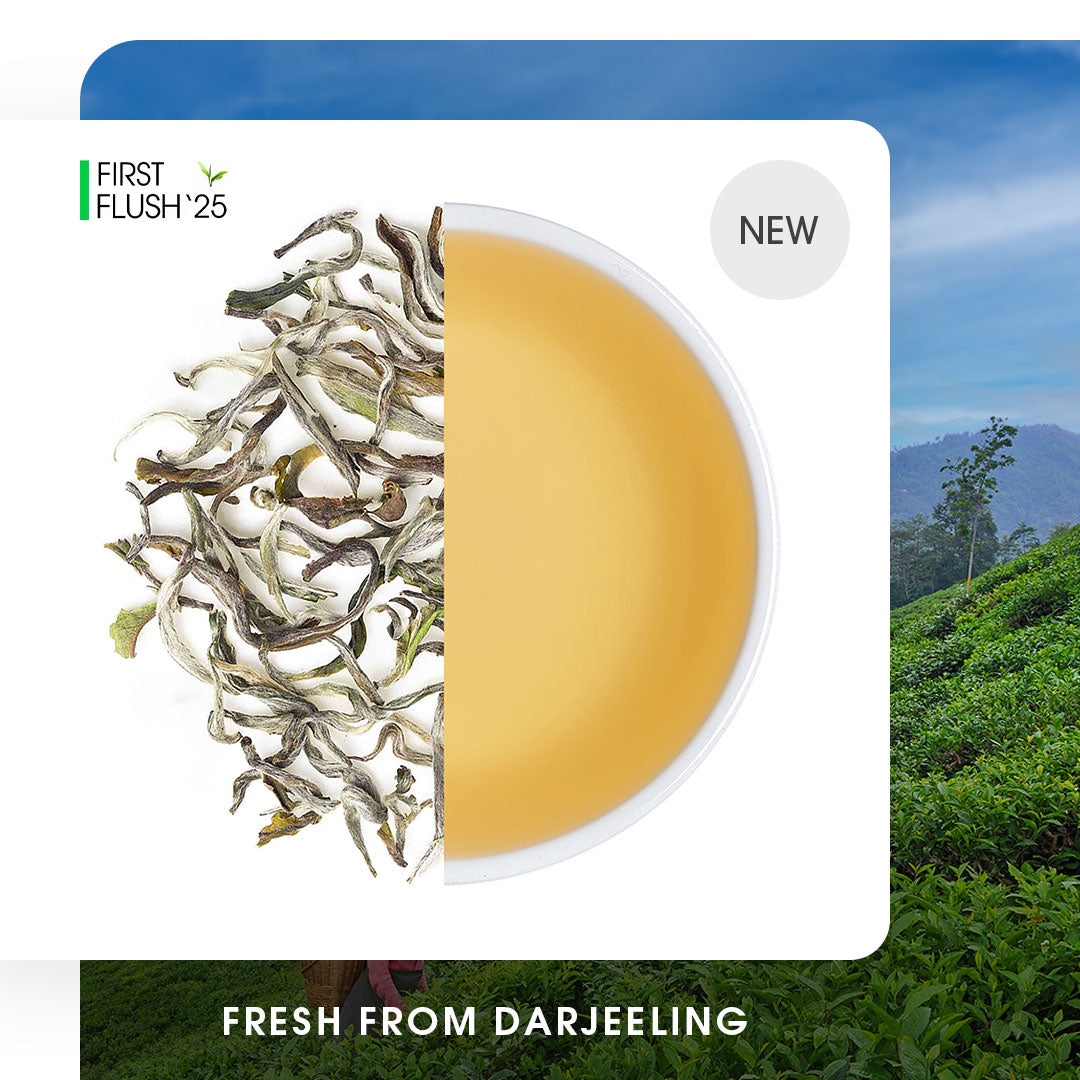 Darjeeling Exotic Moonlight White