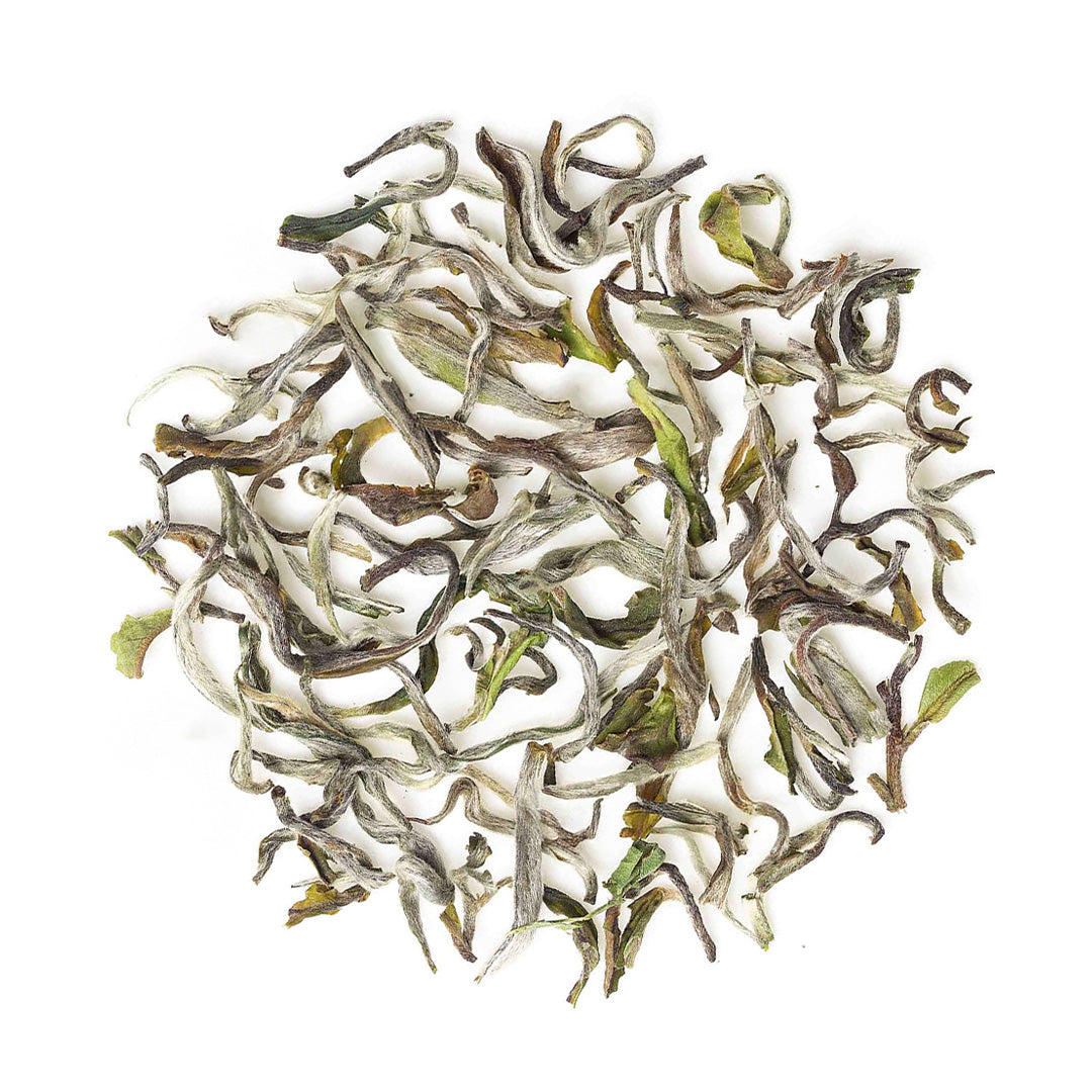 Darjeeling Exotic Moonlight White