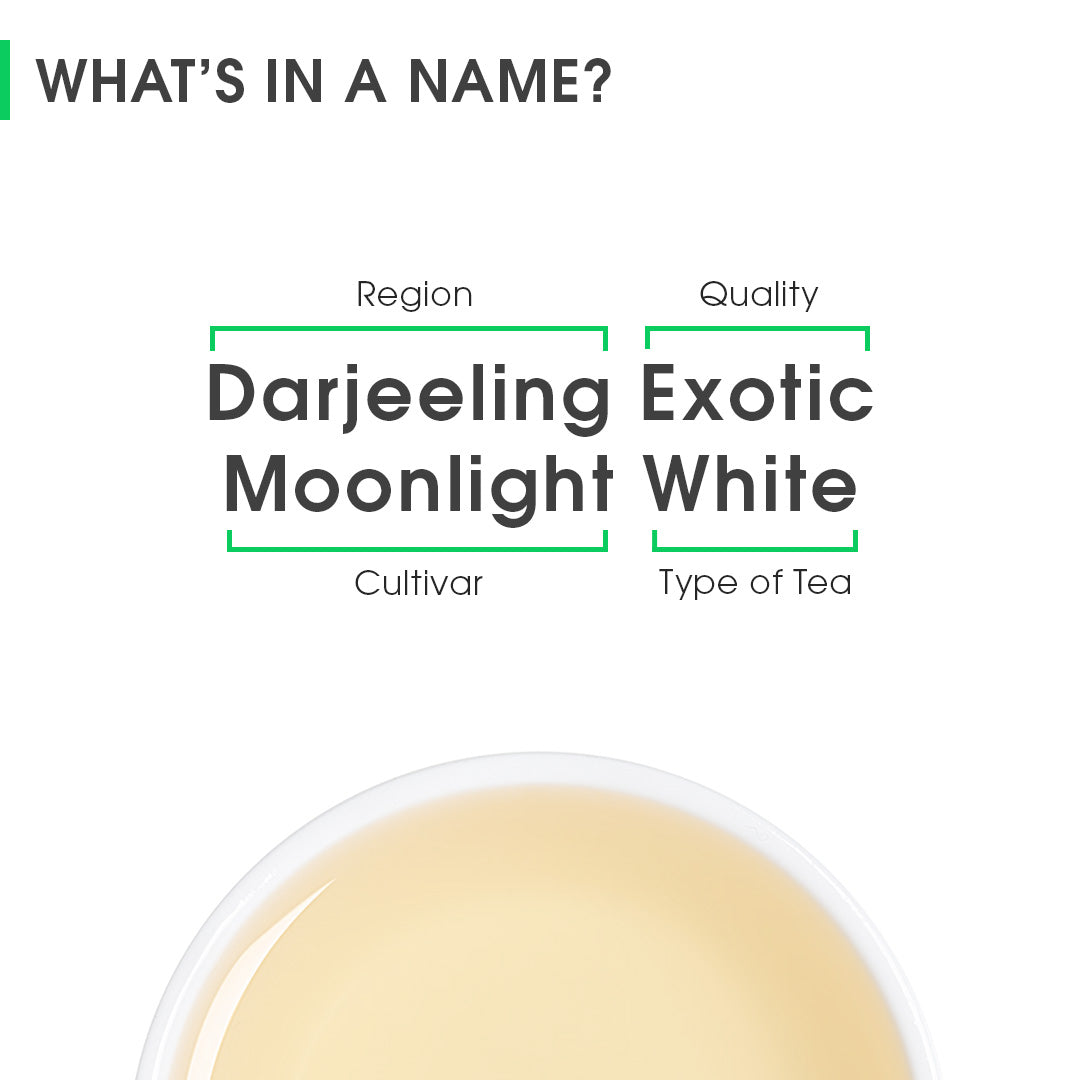 Darjeeling Exotic Moonlight White