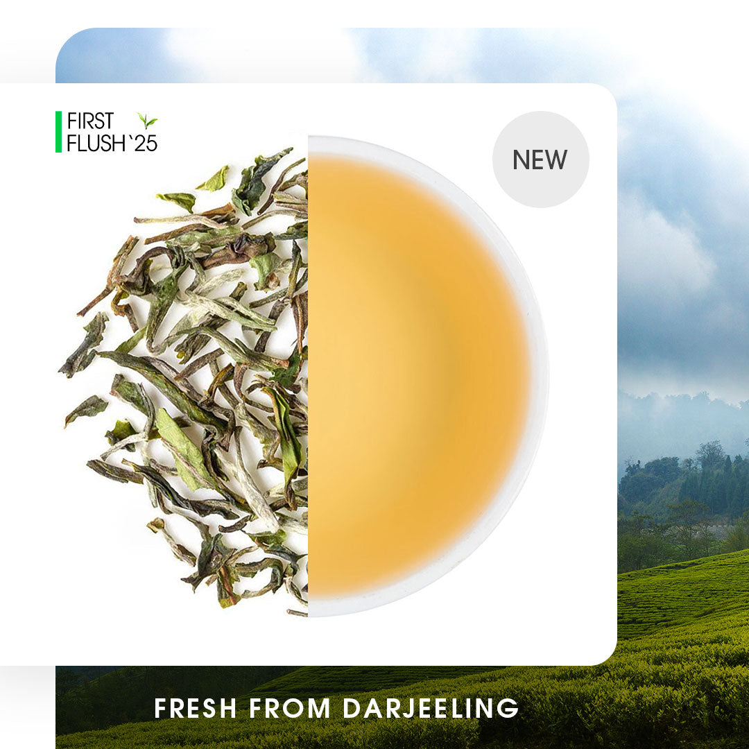 Darjeeling Giddapahar Spring Clonal Black (Limited Edition)