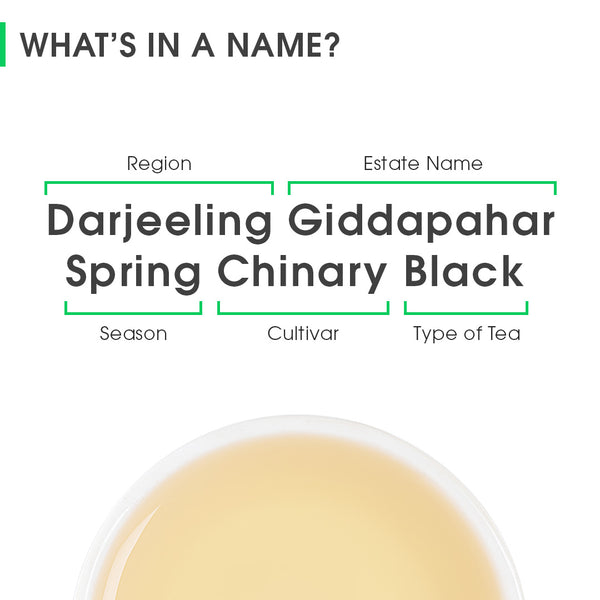 Darjeeling Giddapahar Spring Chinary Black