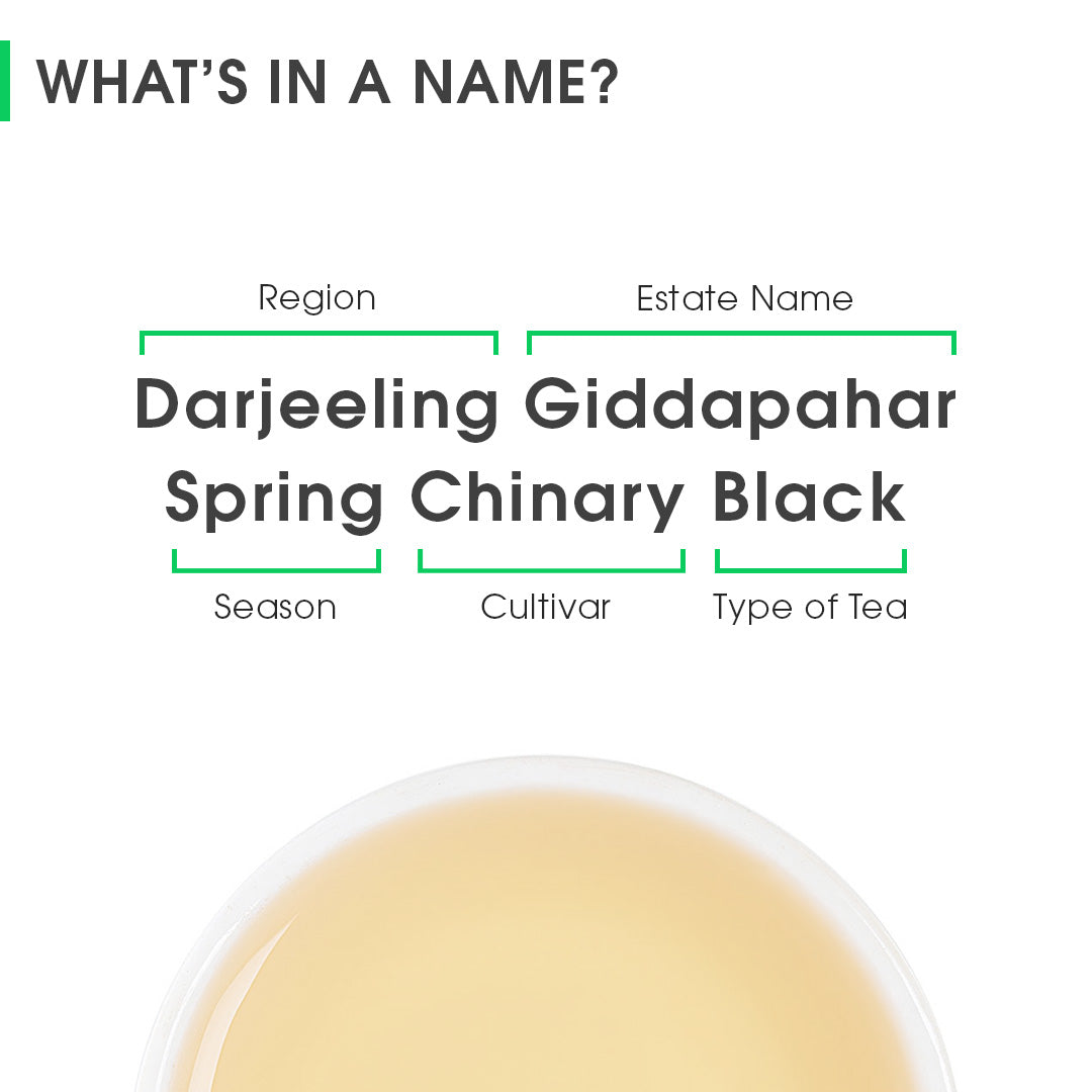 Darjeeling Giddapahar Spring Chinary Black