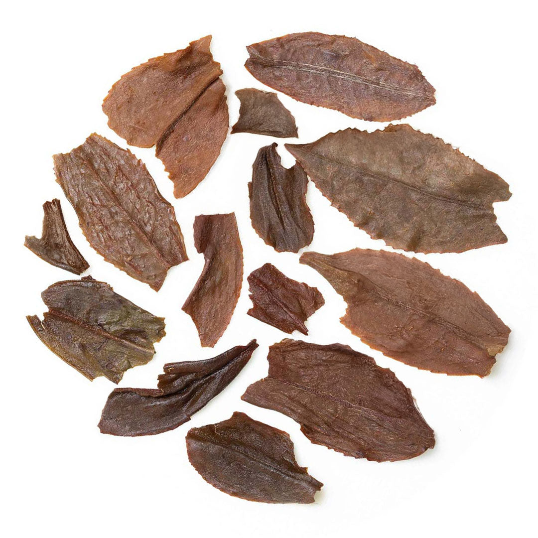 Darjeeling Giddapahar Summer Chinary Black