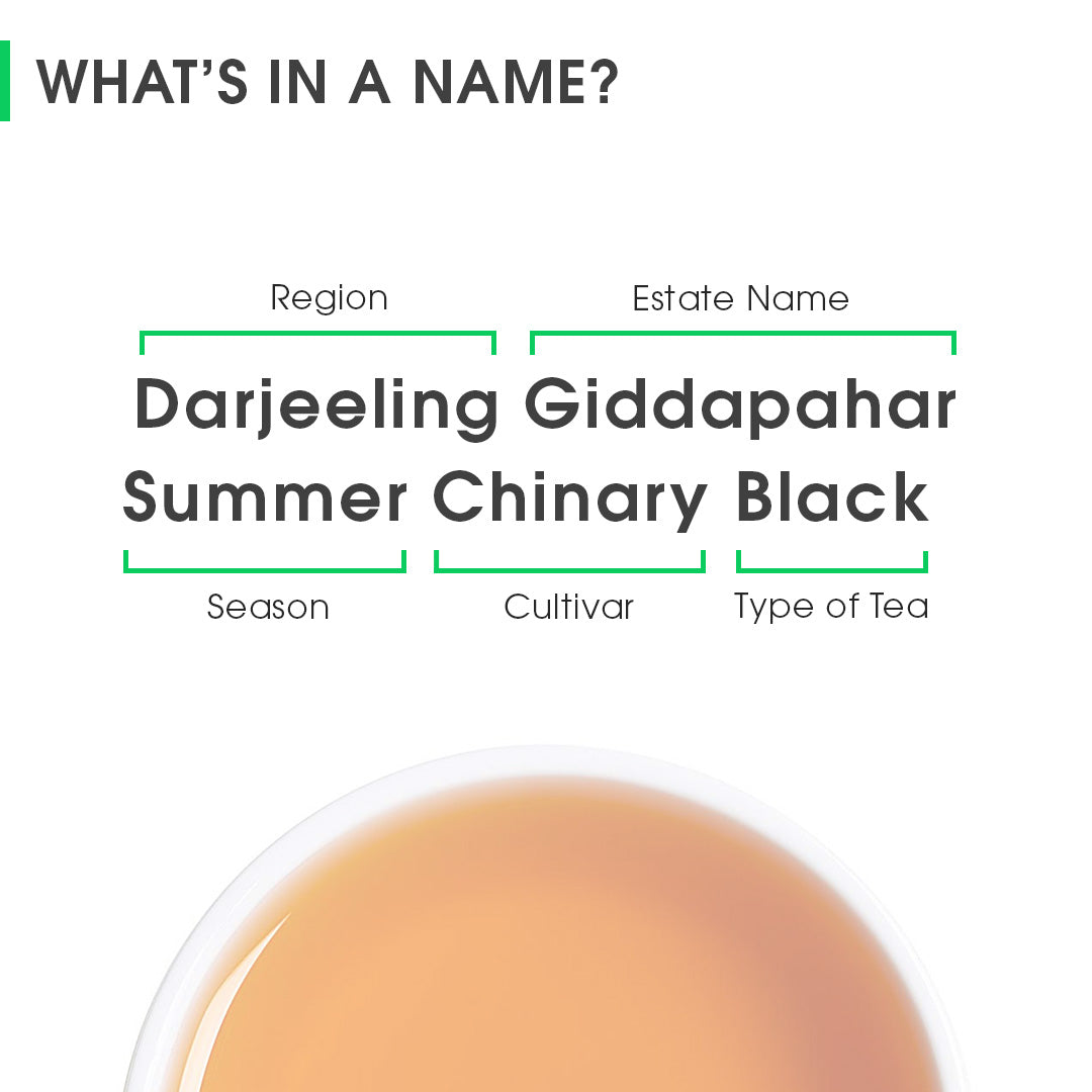 Darjeeling Giddapahar Summer Chinary Black