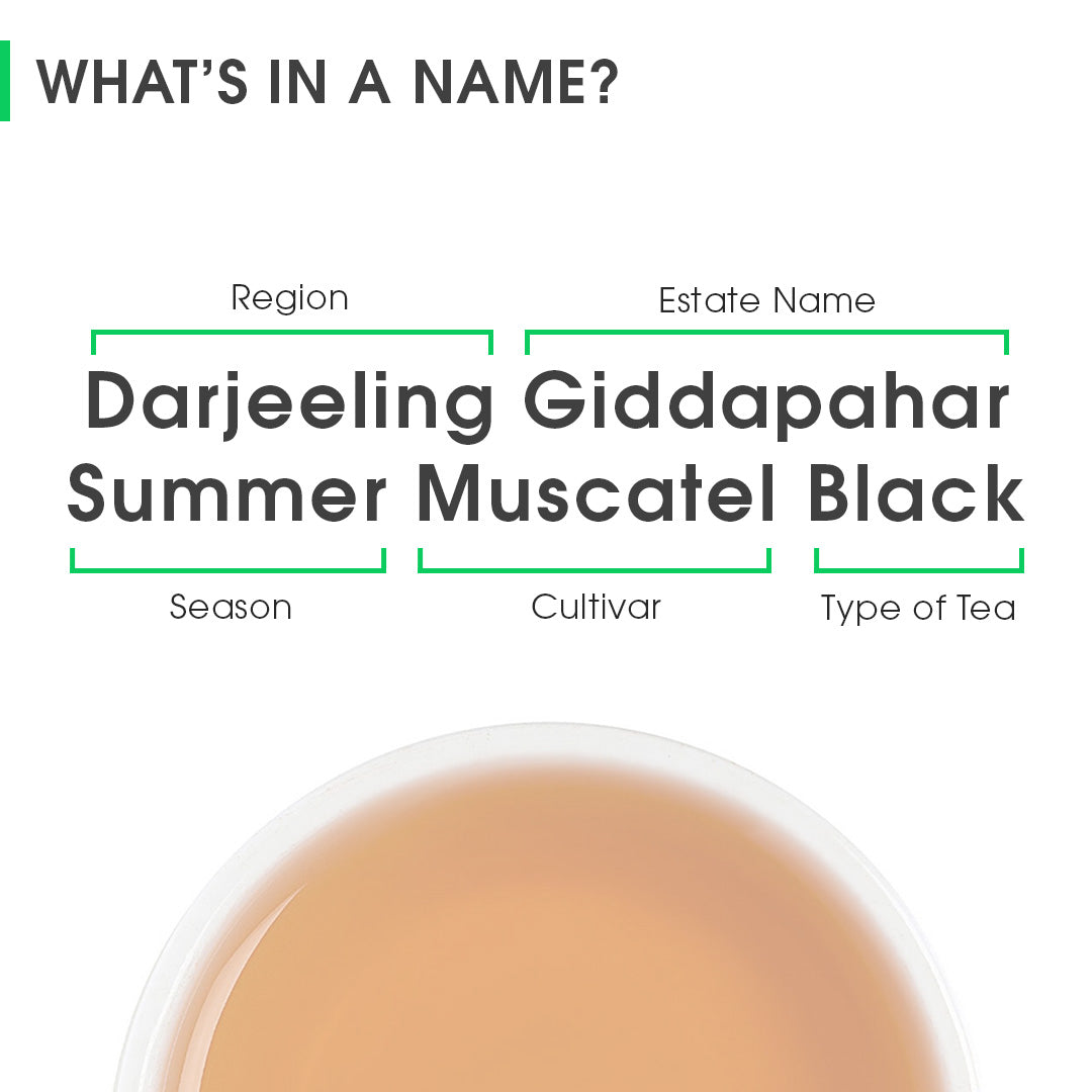 Darjeeling Giddapahar Summer Muscatel Black