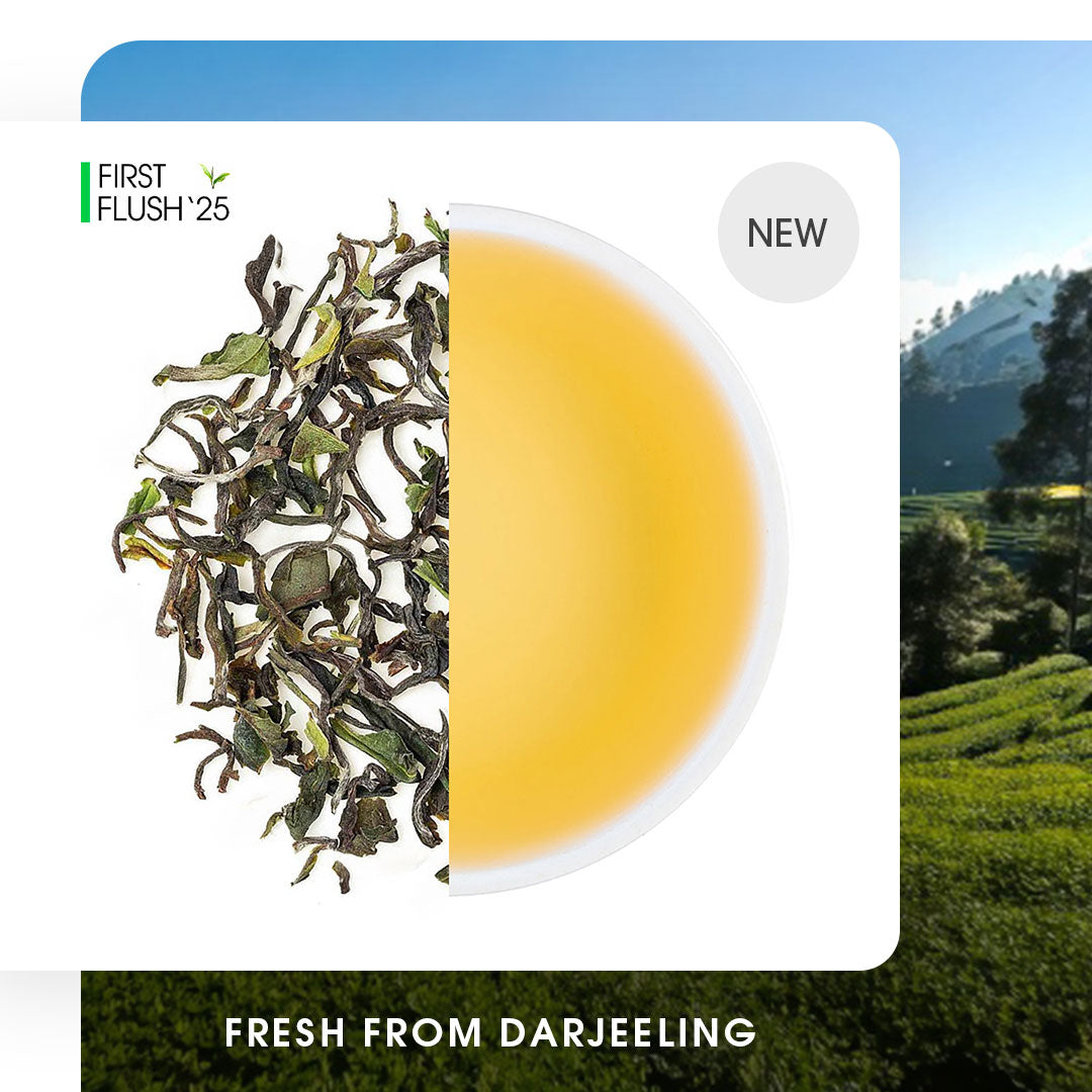 Darjeeling Glenburn Spring Moonshine Oolong