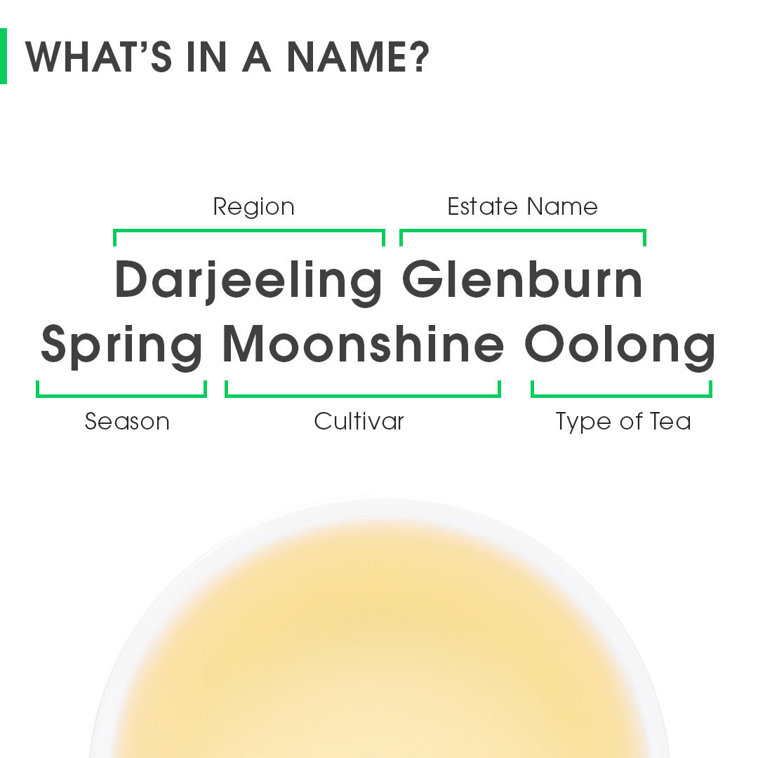 Darjeeling Glenburn Spring Moonshine Oolong
