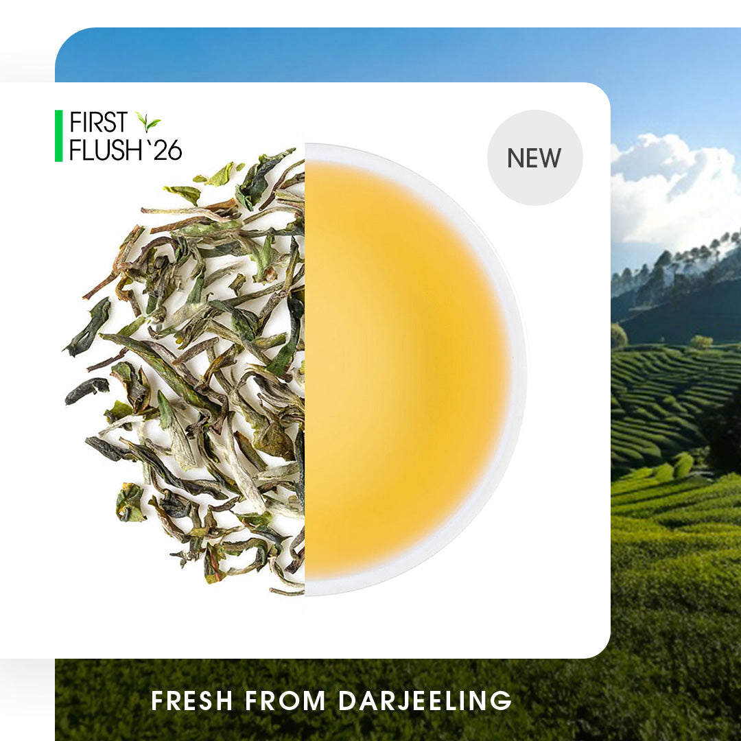 Darjeeling Glenburn Spring Moonshine Oolong