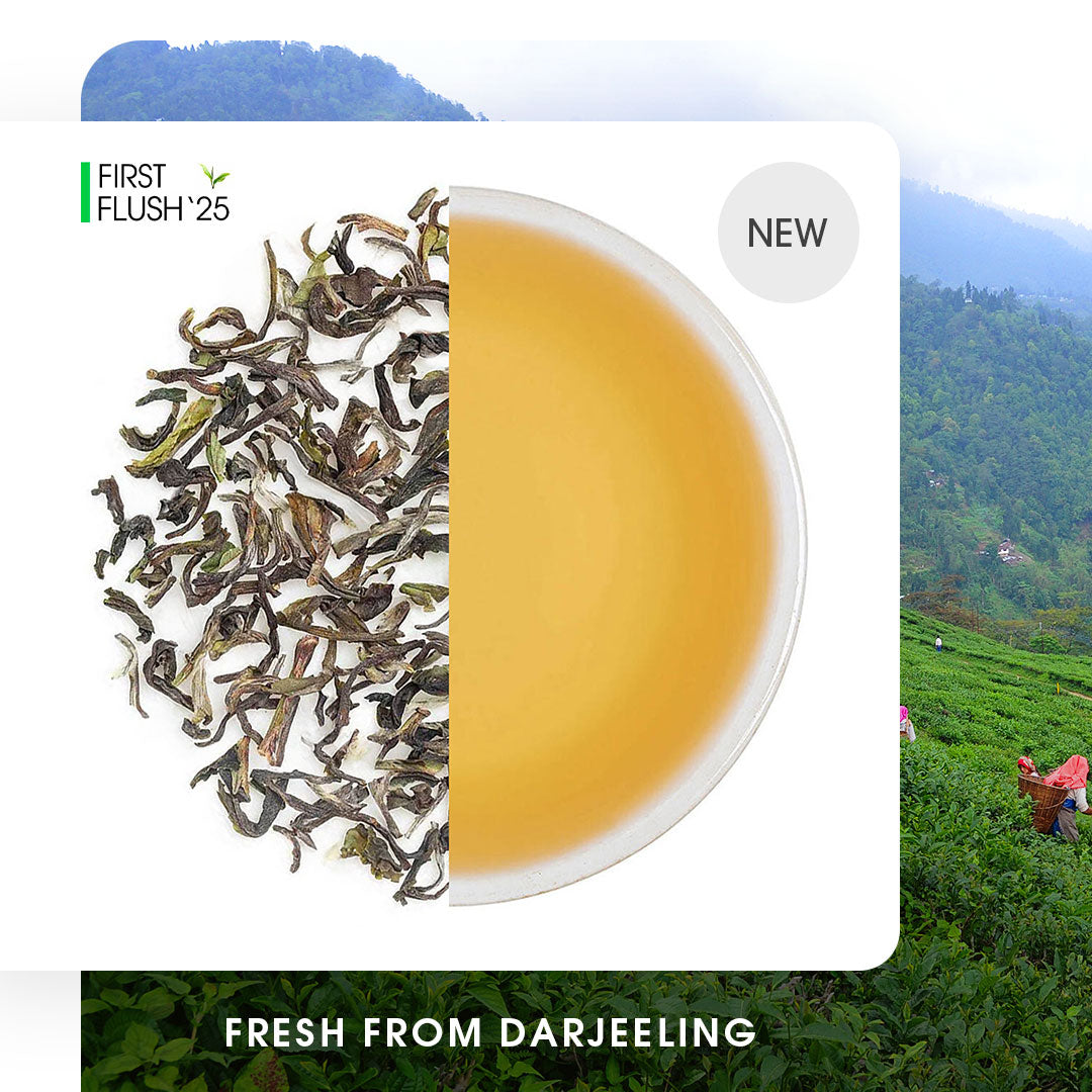 Darjeeling Goomtee Spring Chinary Black