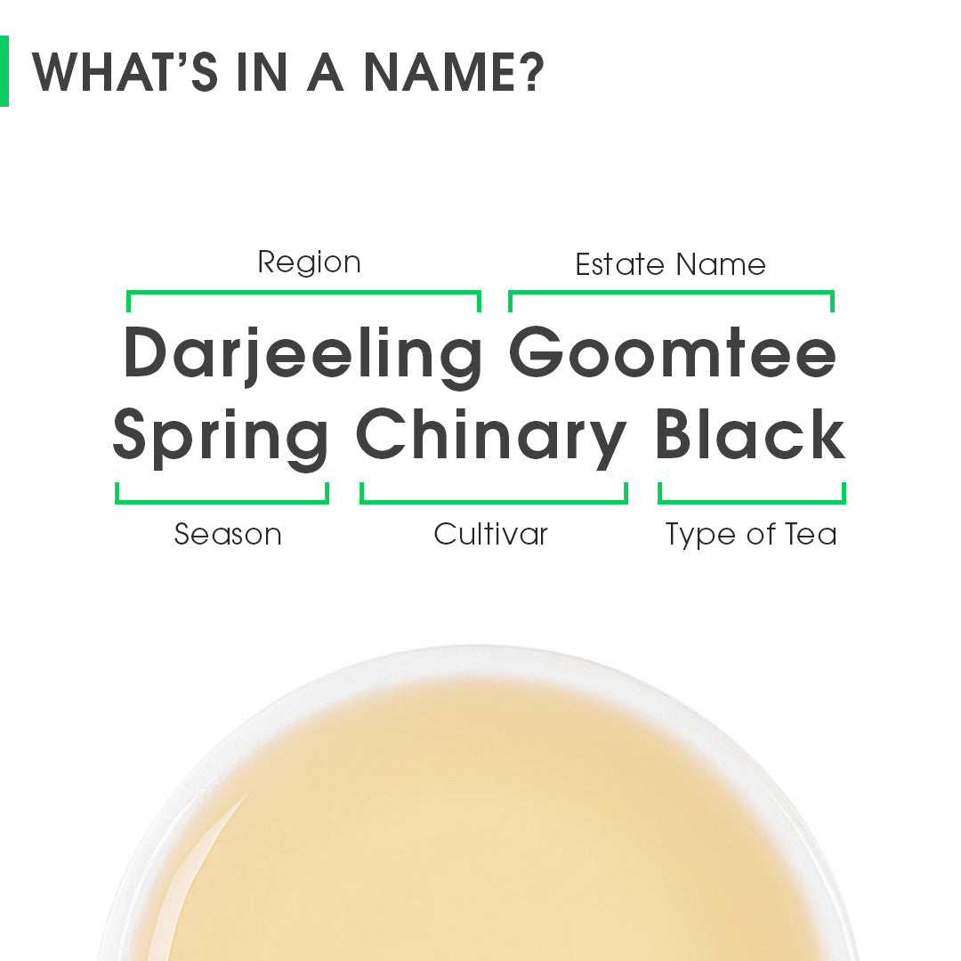 Darjeeling Goomtee Spring Chinary Black