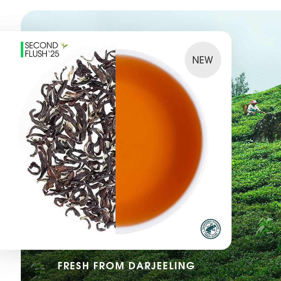 Darjeeling Jungpana Summer Muscatel Black