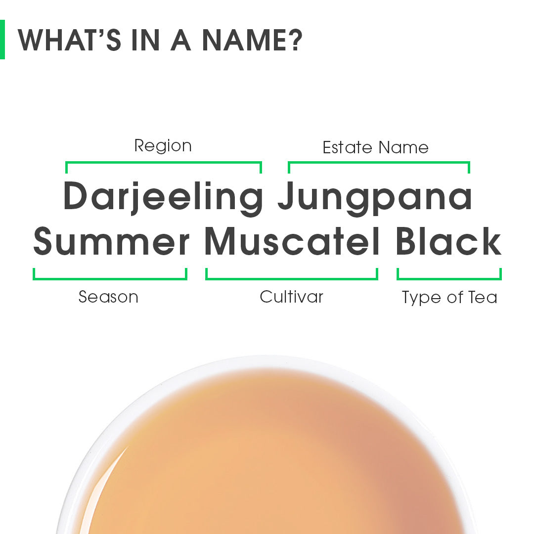 Darjeeling Jungpana Summer Muscatel Black