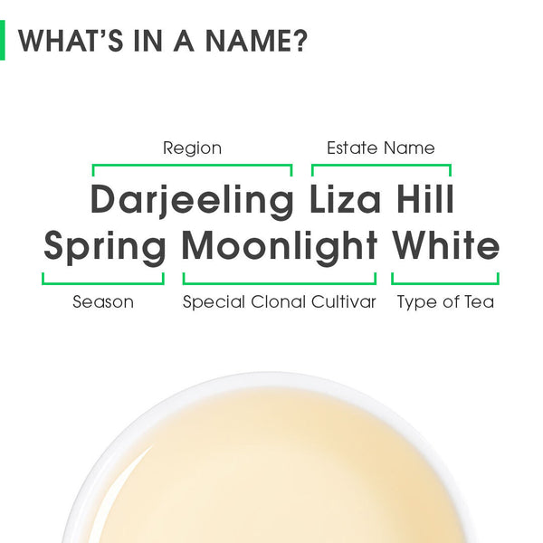 Darjeeling Liza Hill Spring Moonlight White