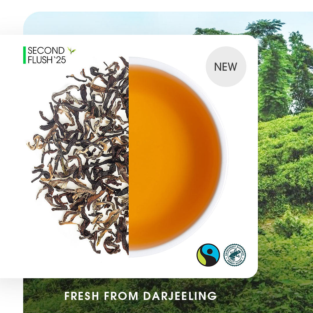 Darjeeling Makaibari Summer Clonal Black