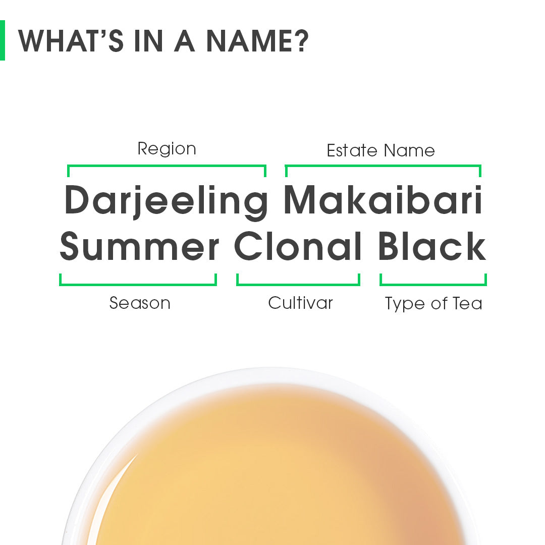 Darjeeling Makaibari Summer Clonal Black