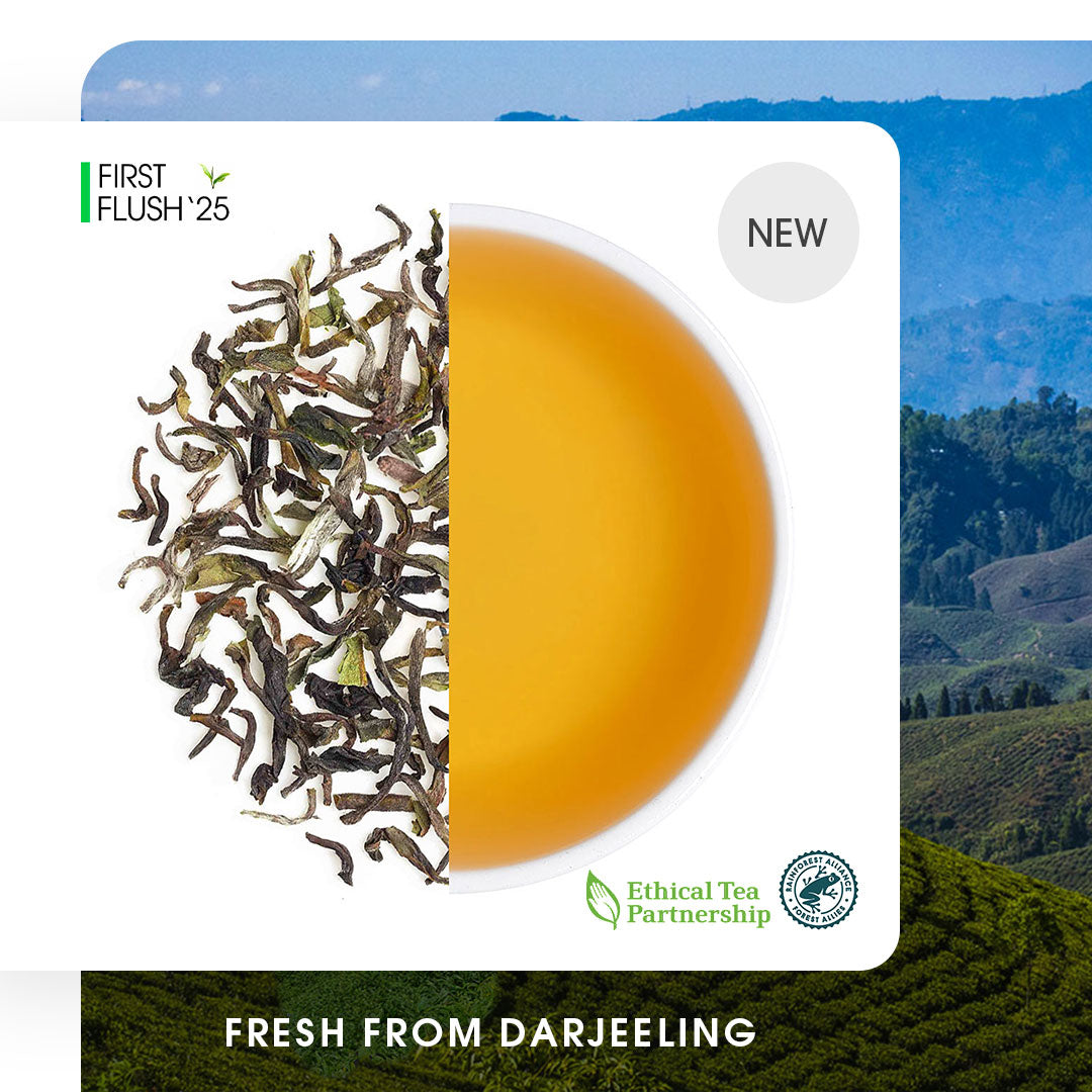 Darjeeling Margaret's Hope Spring Chinary Black