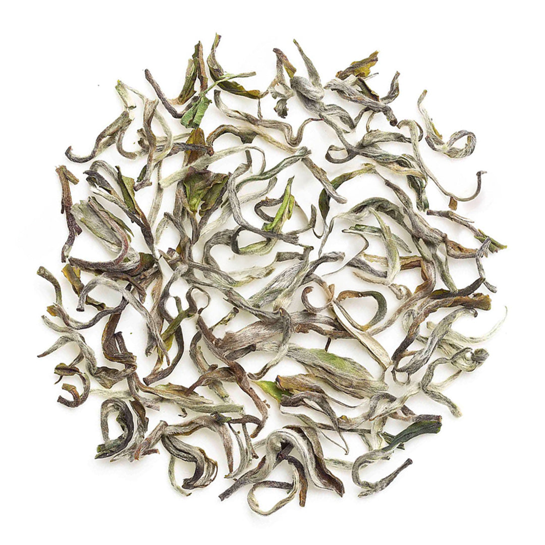 Darjeeling Margaret's Hope Spring Moonlight White