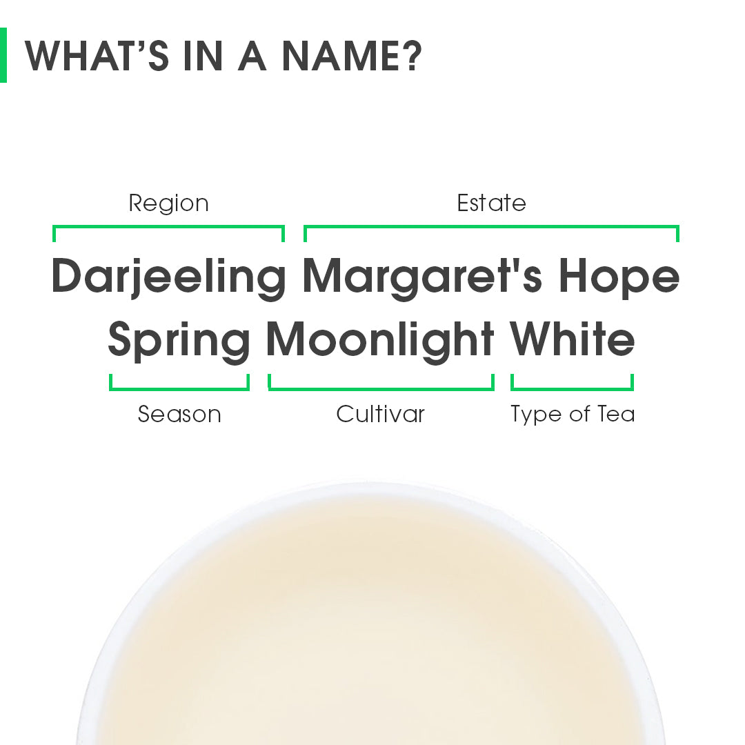 Darjeeling Margaret's Hope Spring Moonlight White