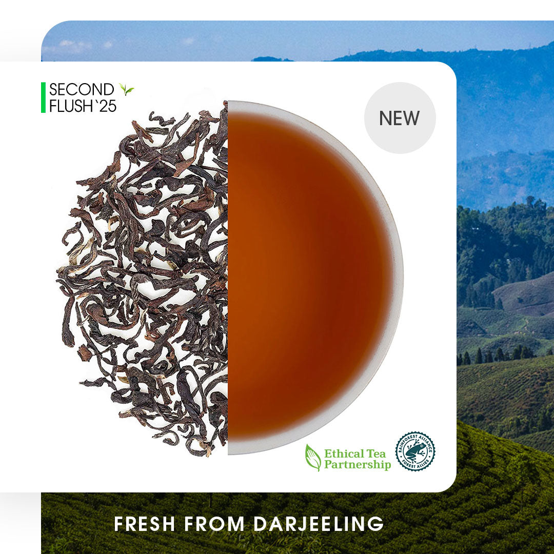 Darjeeling Margaret's Hope Summer Chinary Black
